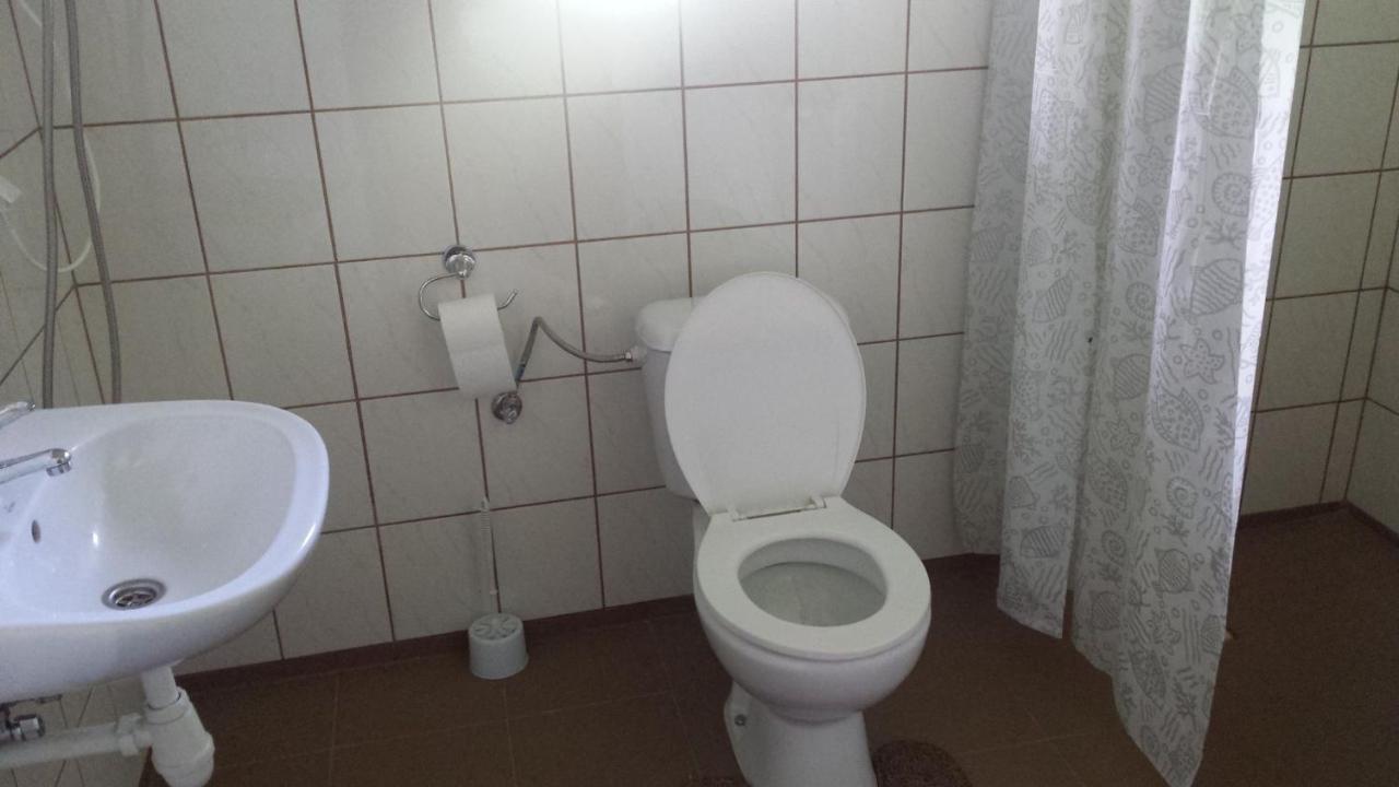 Płońsk Domki Pod Lasem מראה חיצוני תמונה