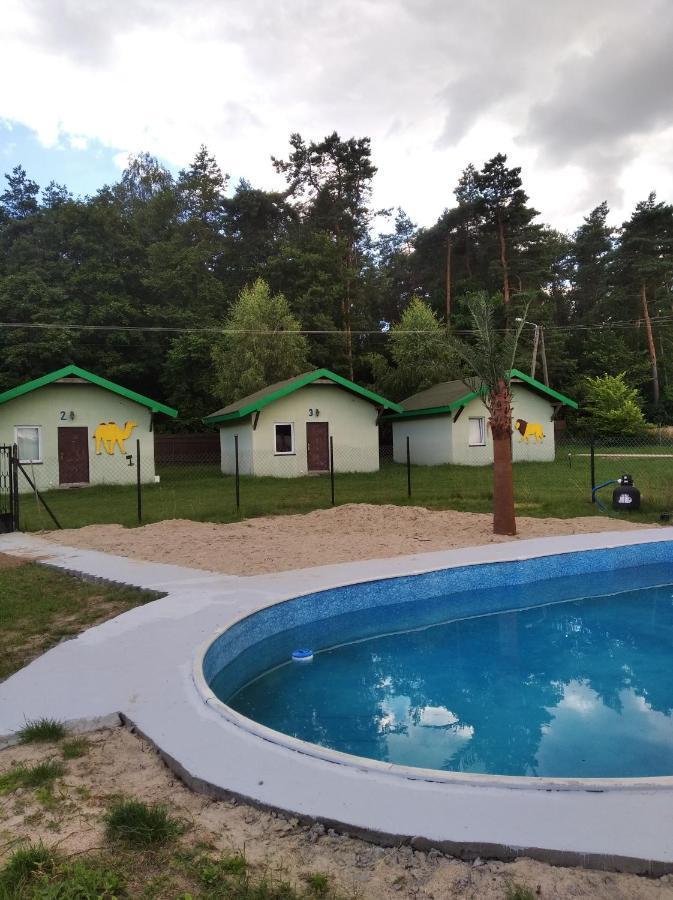 Płońsk Domki Pod Lasem מראה חיצוני תמונה