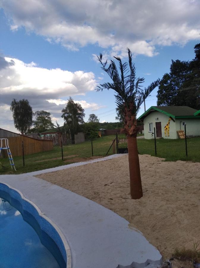 Płońsk Domki Pod Lasem מראה חיצוני תמונה
